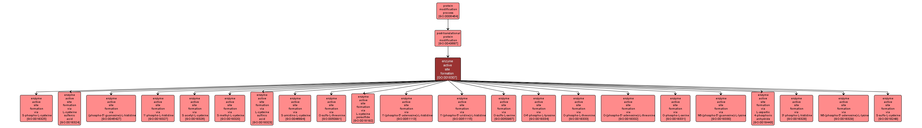 GO:0018307 - enzyme active site formation (interactive image map)