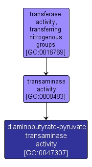 GO:0047307 - diaminobutyrate-pyruvate transaminase activity (interactive image map)