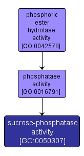 GO:0050307 - sucrose-phosphatase activity (interactive image map)
