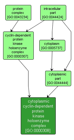 GO:0000308 - cytoplasmic cyclin-dependent protein kinase holoenzyme complex (interactive image map)