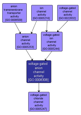 GO:0008308 - voltage-gated anion channel activity (interactive image map)