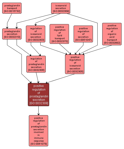 GO:0032308 - positive regulation of prostaglandin secretion (interactive image map)
