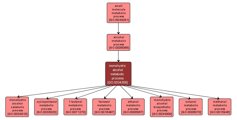 GO:0034308 - monohydric alcohol metabolic process (interactive image map)