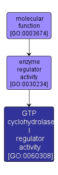 GO:0060308 - GTP cyclohydrolase I regulator activity (interactive image map)