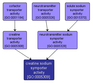 GO:0005309 - creatine:sodium symporter activity (interactive image map)