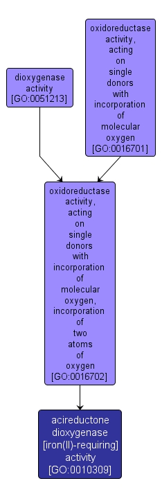 GO:0010309 - acireductone dioxygenase [iron(II)-requiring] activity (interactive image map)