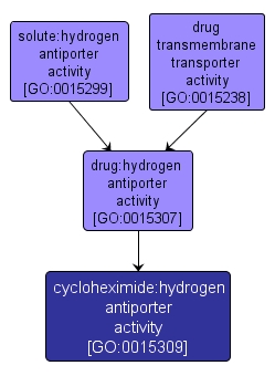 GO:0015309 - cycloheximide:hydrogen antiporter activity (interactive image map)