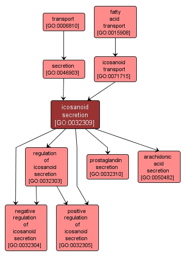GO:0032309 - icosanoid secretion (interactive image map)