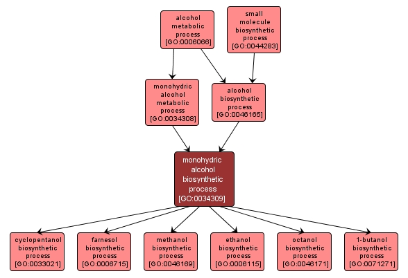 GO:0034309 - monohydric alcohol biosynthetic process (interactive image map)