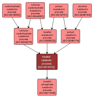 GO:0019310 - inositol catabolic process (interactive image map)