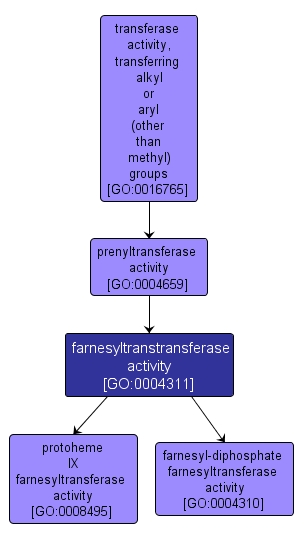 GO:0004311 - farnesyltranstransferase activity (interactive image map)