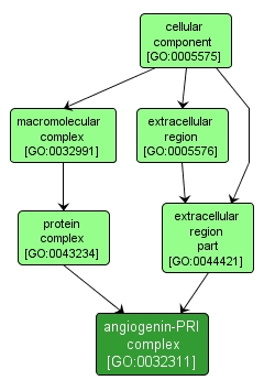 GO:0032311 - angiogenin-PRI complex (interactive image map)
