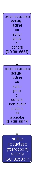 GO:0050311 - sulfite reductase (ferredoxin) activity (interactive image map)