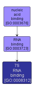 GO:0008312 - 7S RNA binding (interactive image map)
