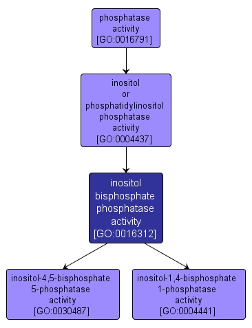 GO:0016312 - inositol bisphosphate phosphatase activity (interactive image map)