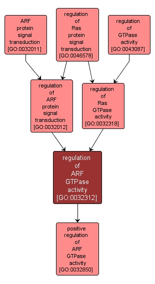 GO:0032312 - regulation of ARF GTPase activity (interactive image map)