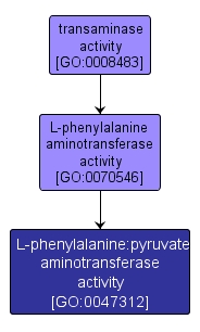 GO:0047312 - L-phenylalanine:pyruvate aminotransferase activity (interactive image map)
