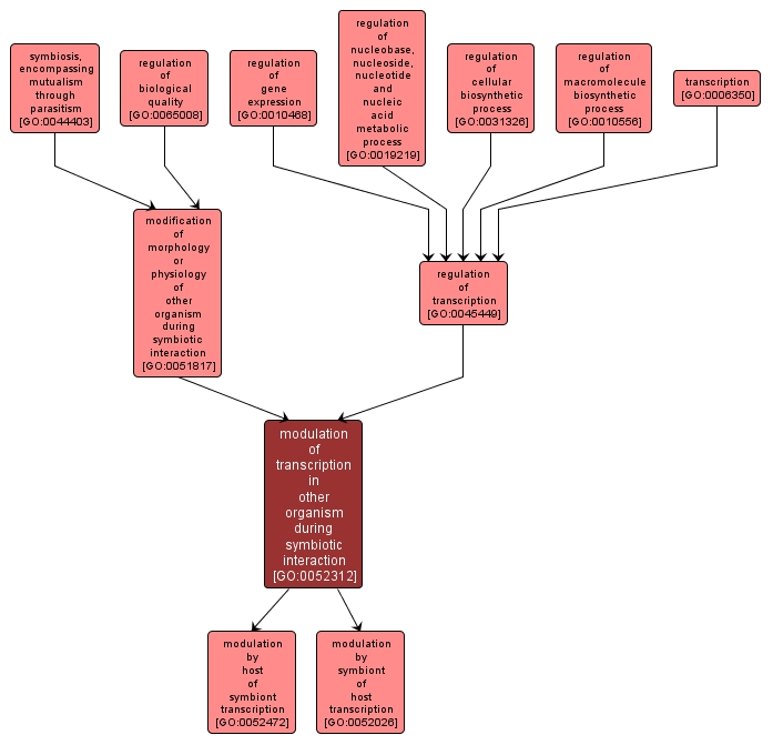 GO:0052312 - modulation of transcription in other organism during symbiotic interaction (interactive image map)