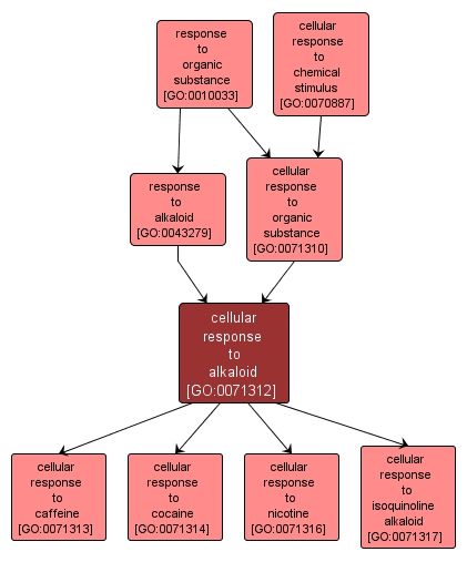 GO:0071312 - cellular response to alkaloid (interactive image map)