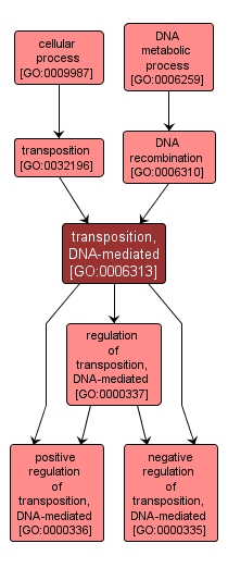 GO:0006313 - transposition, DNA-mediated (interactive image map)