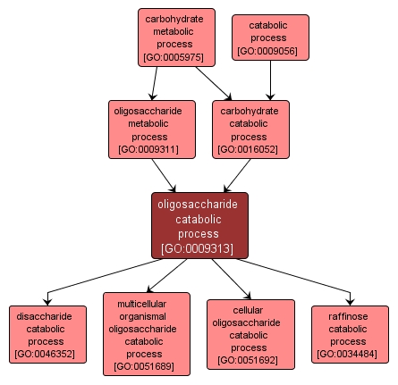 GO:0009313 - oligosaccharide catabolic process (interactive image map)