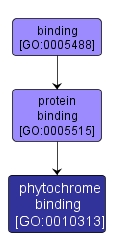 GO:0010313 - phytochrome binding (interactive image map)