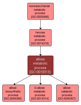 GO:0019313 - allose metabolic process (interactive image map)