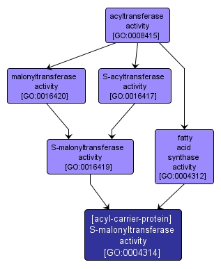 GO:0004314 - [acyl-carrier-protein] S-malonyltransferase activity (interactive image map)