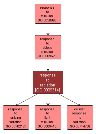 GO:0009314 - response to radiation (interactive image map)