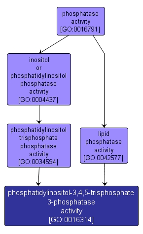 GO:0016314 - phosphatidylinositol-3,4,5-trisphosphate 3-phosphatase activity (interactive image map)