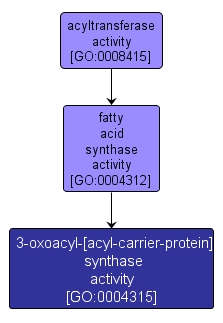 GO:0004315 - 3-oxoacyl-[acyl-carrier-protein] synthase activity (interactive image map)