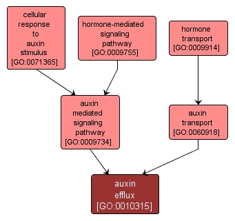 GO:0010315 - auxin efflux (interactive image map)