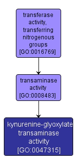GO:0047315 - kynurenine-glyoxylate transaminase activity (interactive image map)