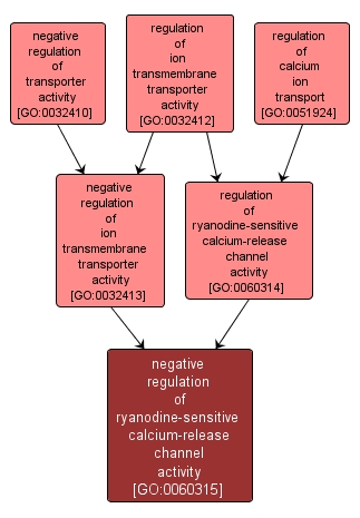 GO:0060315 - negative regulation of ryanodine-sensitive calcium-release channel activity (interactive image map)