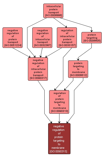 GO:0090315 - negative regulation of protein targeting to membrane (interactive image map)