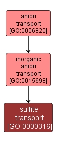 GO:0000316 - sulfite transport (interactive image map)