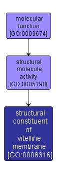 GO:0008316 - structural constituent of vitelline membrane (interactive image map)