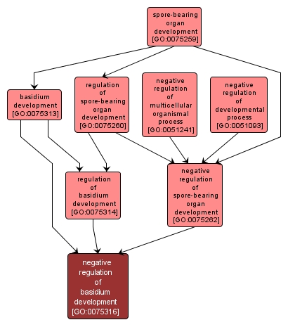 GO:0075316 - negative regulation of basidium development (interactive image map)