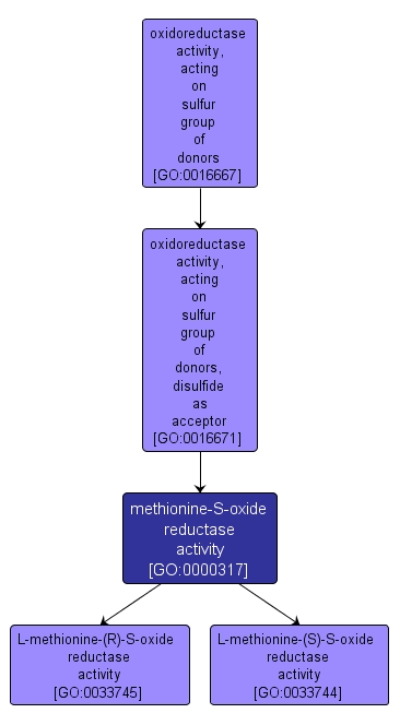 GO:0000317 - methionine-S-oxide reductase activity (interactive image map)