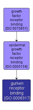 GO:0008317 - gurken receptor binding (interactive image map)