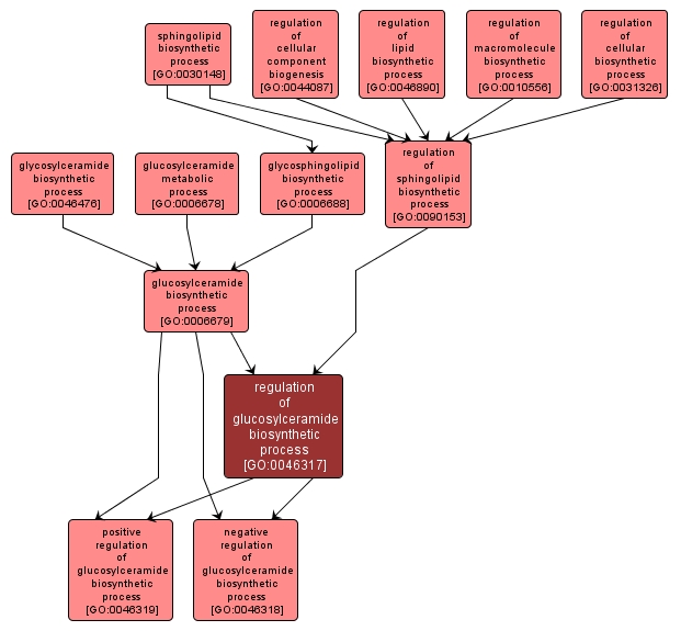 GO:0046317 - regulation of glucosylceramide biosynthetic process (interactive image map)
