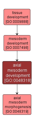 GO:0048318 - axial mesoderm development (interactive image map)