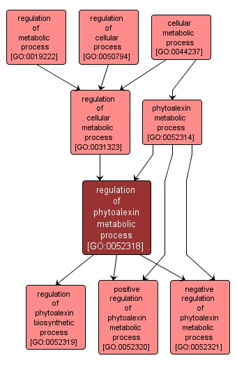 GO:0052318 - regulation of phytoalexin metabolic process (interactive image map)