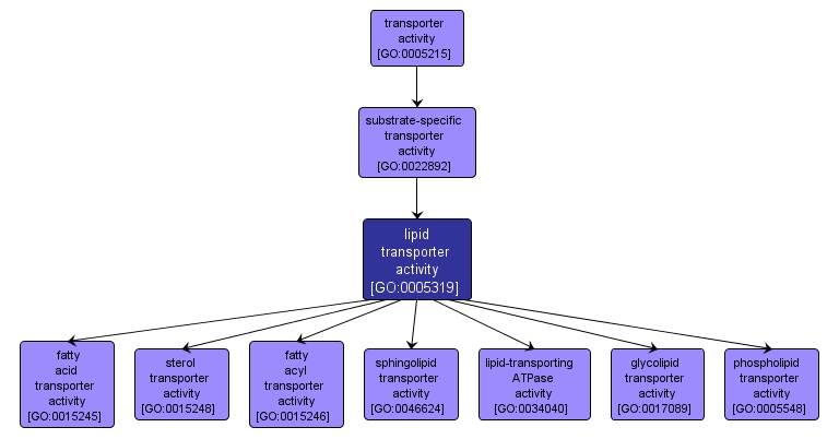 GO:0005319 - lipid transporter activity (interactive image map)