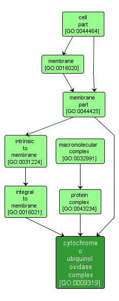 GO:0009319 - cytochrome o ubiquinol oxidase complex (interactive image map)
