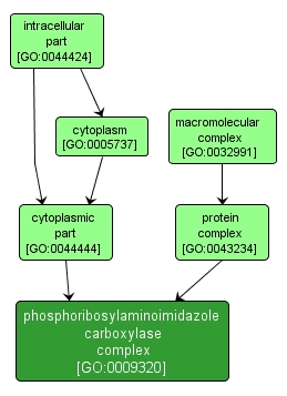 GO:0009320 - phosphoribosylaminoimidazole carboxylase complex (interactive image map)