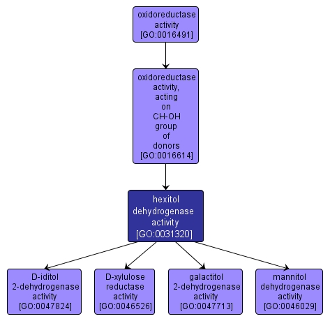 GO:0031320 - hexitol dehydrogenase activity (interactive image map)