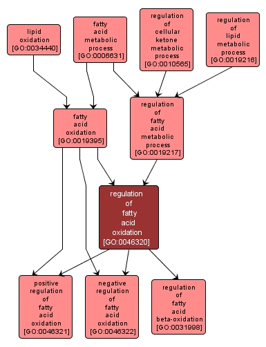 GO:0046320 - regulation of fatty acid oxidation (interactive image map)