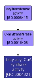 GO:0004321 - fatty-acyl-CoA synthase activity (interactive image map)