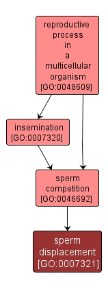 GO:0007321 - sperm displacement (interactive image map)